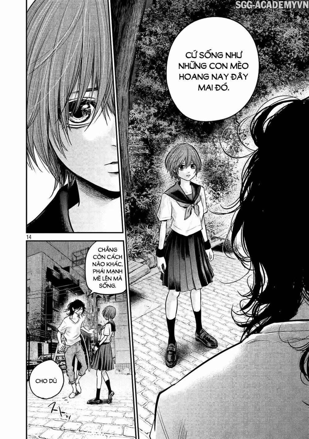 đạo luật nhiều vợ chapter 85 15