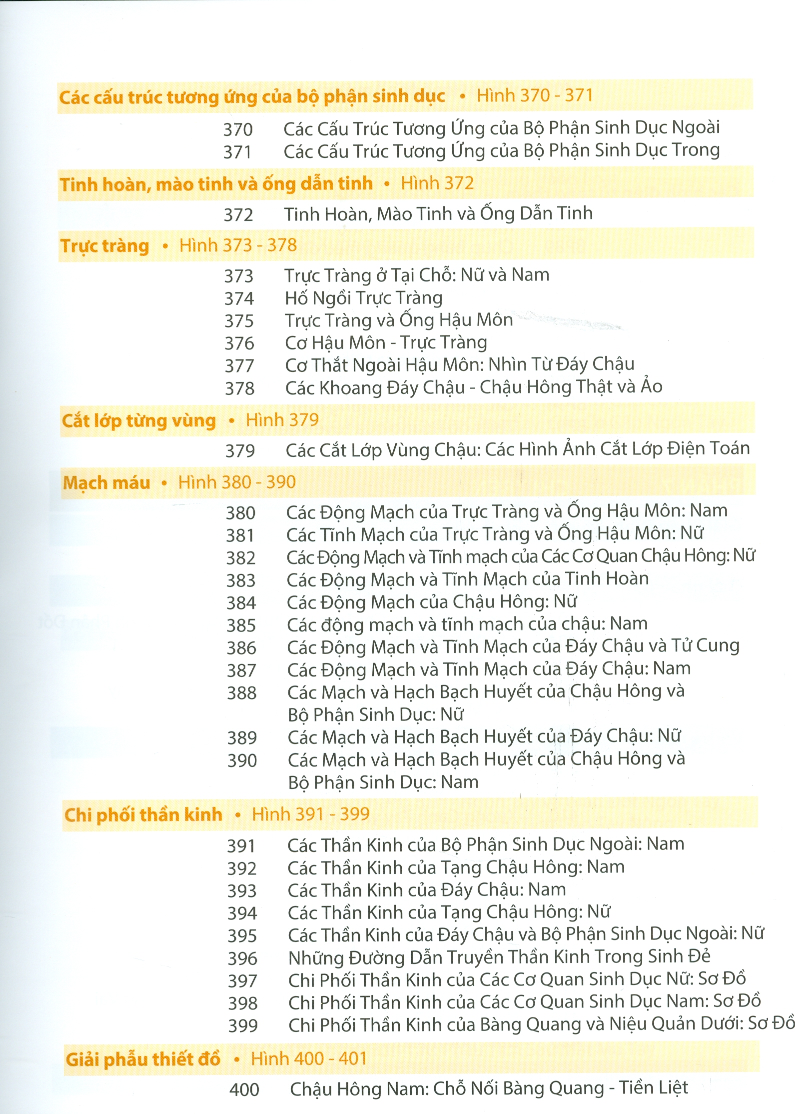 ATLAS GIẢI PHẪU NGƯỜI - In Lần Thứ IV (năm 2022) Theo Ấn Phẩm Lần Thứ VII Của Nxb Elsevier Có Sửa Chữa Và Bổ Sung (ATLAS OF HUMAN ANATOMY  Seventh Edition)