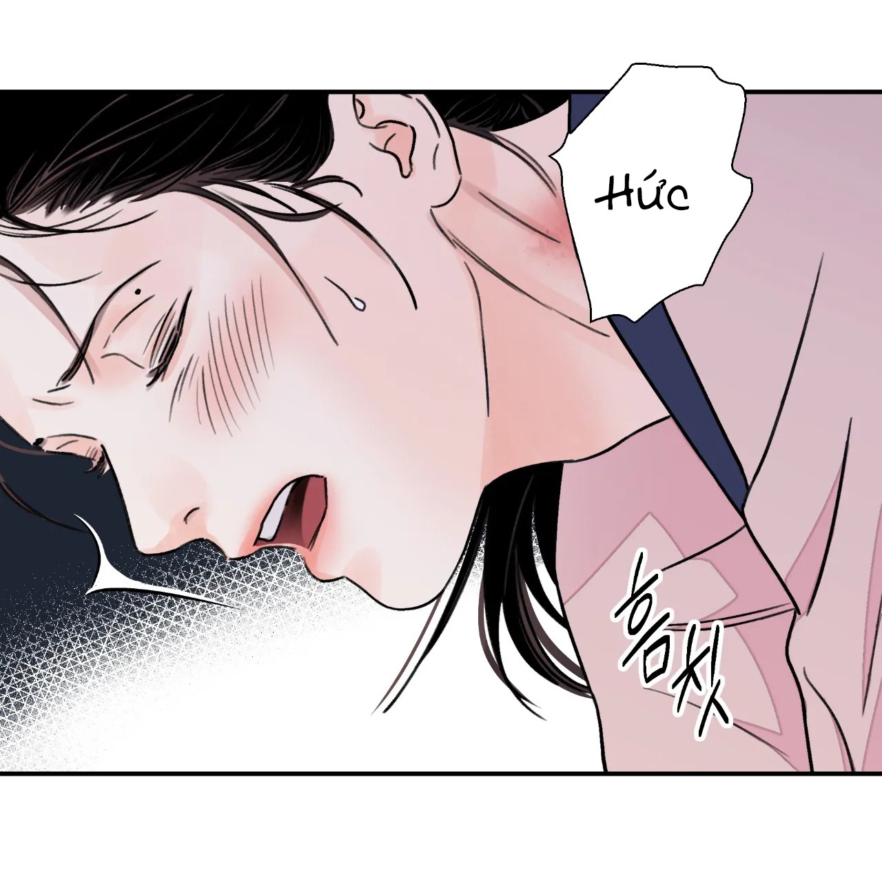 [18+] trượng kiếm tựa hoa chapter 26.2 30