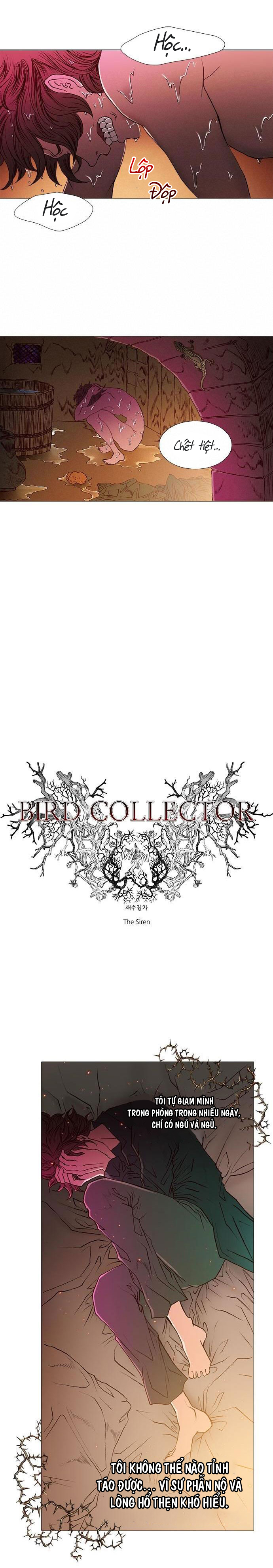 tôi chính là nhà sưu tập chim chapter 24.2 1