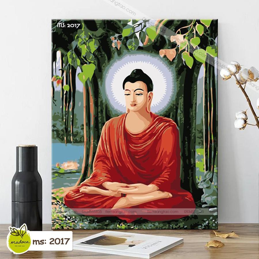 Tranh tô màu 40x50cm có khung Đức Phật Thích Ca Mâu Ni T2017