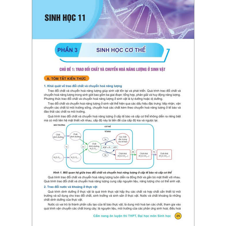 Sách - Cẩm Nang Ôn Luyện Thi THPT, Đại Học Môn Sinh Học - Biên soạn theo chương trình mới - ndbooks
