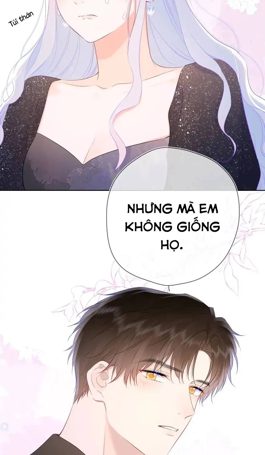 vì sao của tôi chapter 130 39