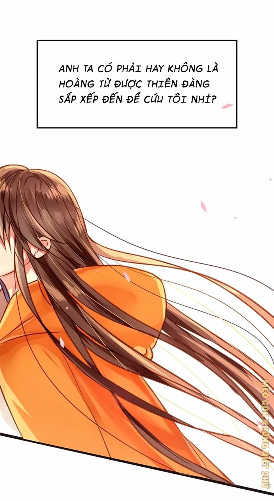 không có ssr làm sao để yêu chapter 4 4