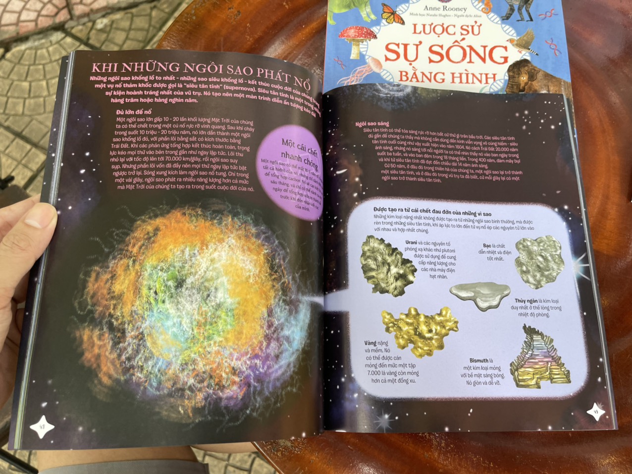 LƯỢC SỬ VŨ TRỤ BẰNG HÌNH - Hành trình vượt không gian và thời gian- Anne Rooney – Mỹ Linh dịch - Natalie Hughes minh hoạ - NXB Kim Đồng