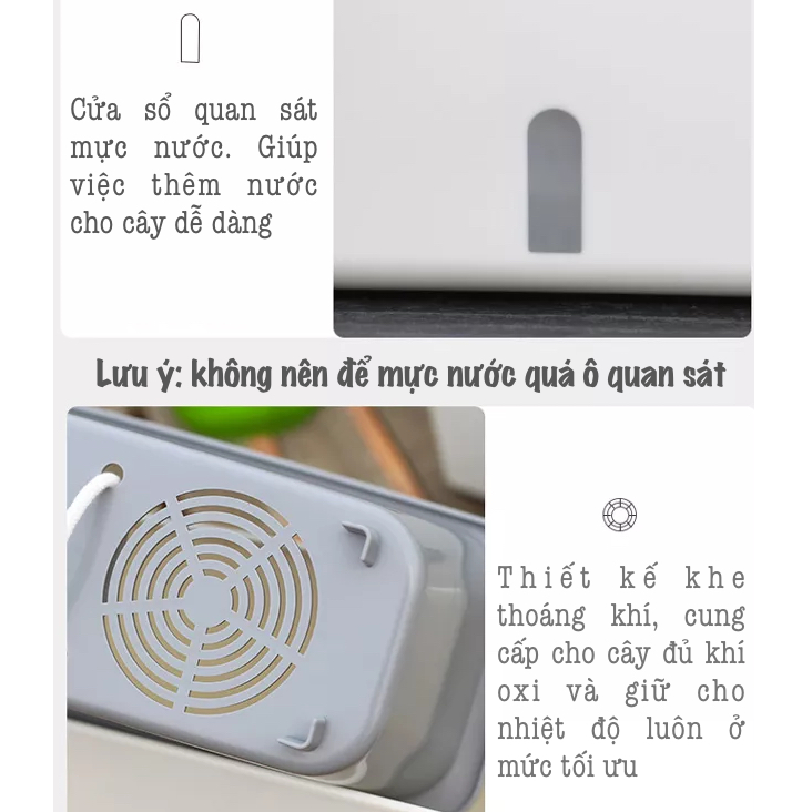 Chậu trồng cây thông minh SC06. Thiết kế 2 lớp, có chức năng cung cấp nước cho cây