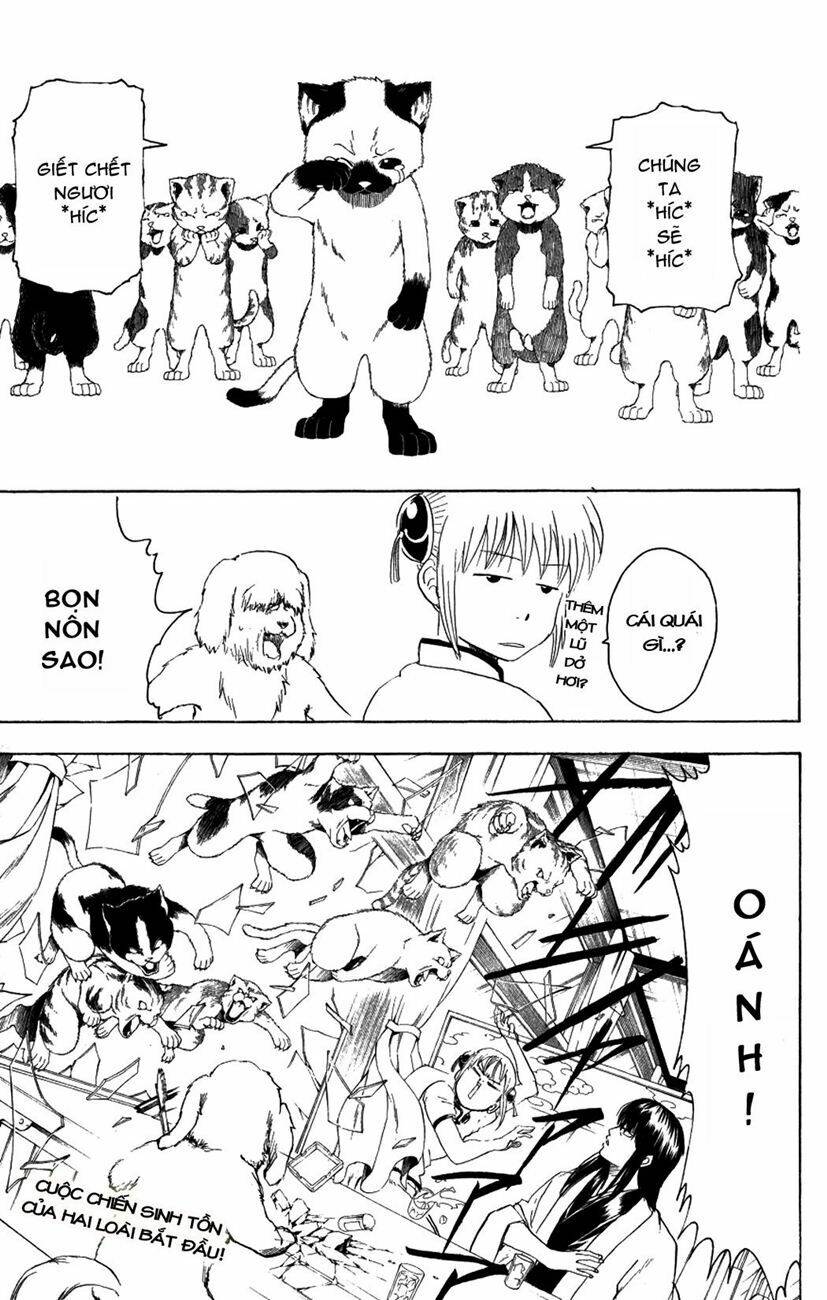 gintama - linh hồn bạc chapter 207 21
