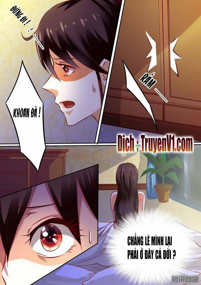 hào môn tiểu lão bà chapter 17 5