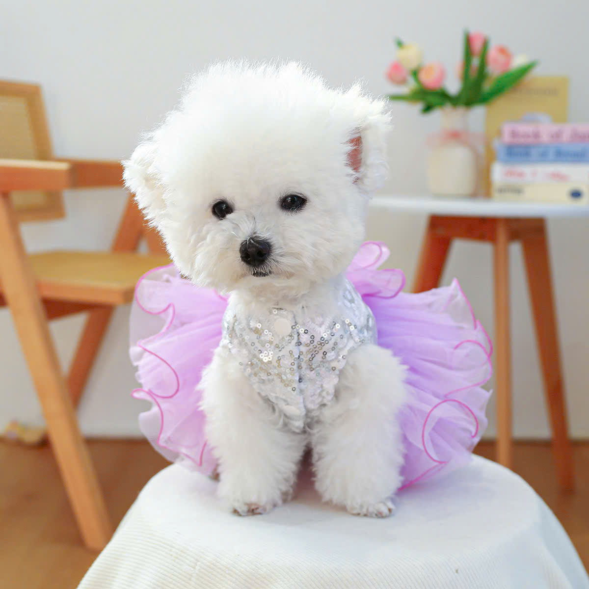 VÁY KIM SA XOÈ SIÊU SANG TRỌNG VÀ ĐẸP TỪ 0.5-9KG DÀNH CHO THÚ CƯNG CHÓ MÈO