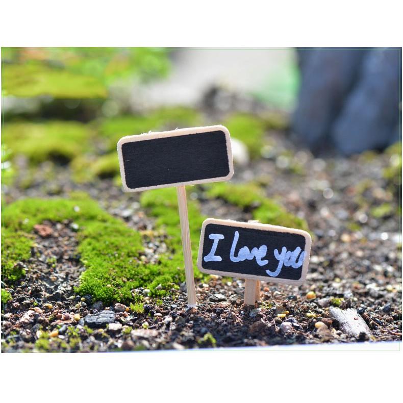 Tiểu cảnh Terrarium ️ Bảng tên đen trống tiểu cảnh trang trí sen đá, sân vườn, bể cá, bể terrarium
