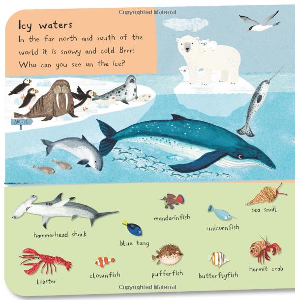 There Are 101 Sea Creatures In This Book