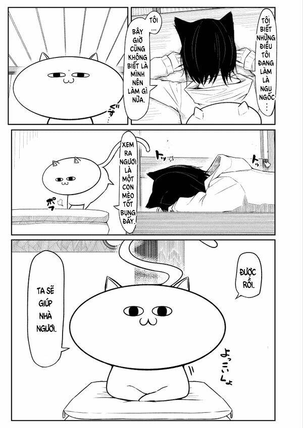 đây là câu chuyện về một con mèo chapter 0 13