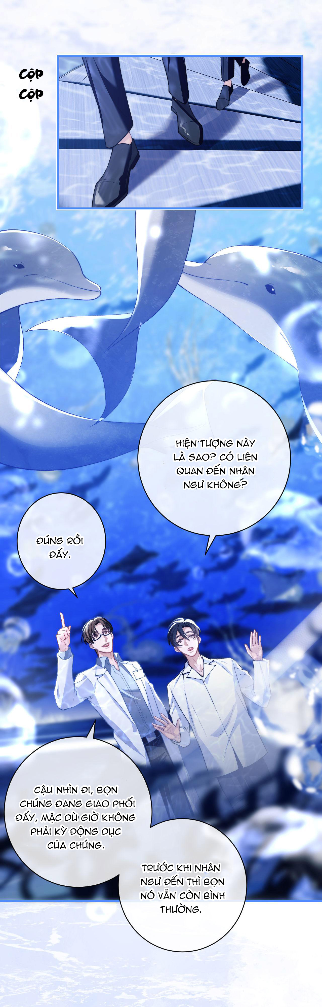 nhân ngư dessaro chapter 9 19