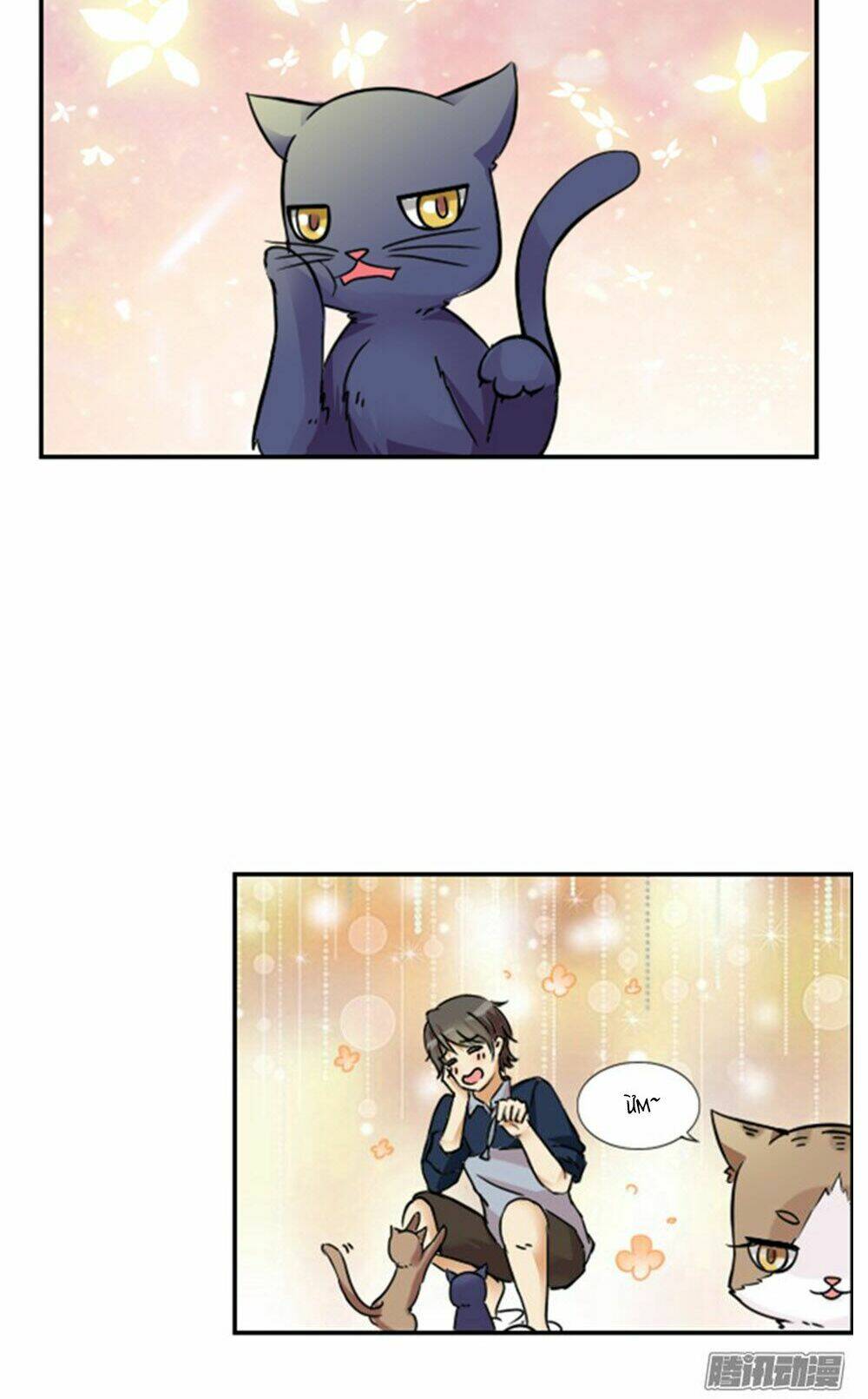 hai chú mèo totem chapter 9 14