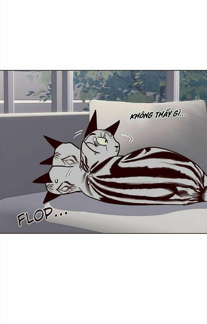 biến thân thành mèo chapter 37 37