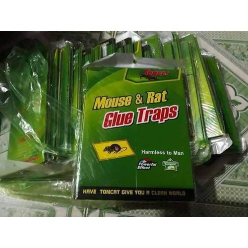 Combo 5 bẫy dính chuột Mouse &amp; Rat Glue Traps siêu dính, có thể sử dụng lại nhiều lần