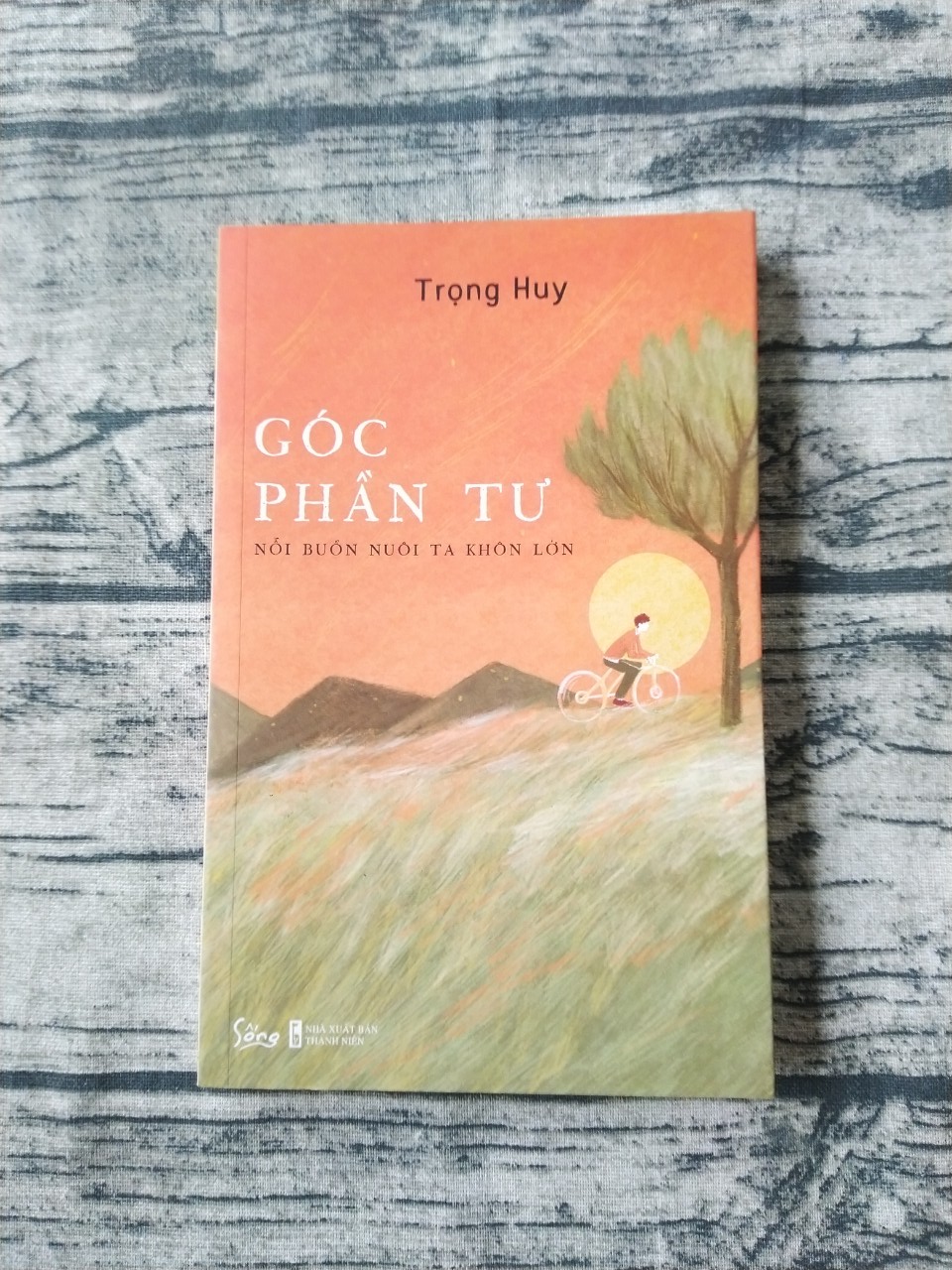 Sách - Góc Phần Tư (Trọng Huy)