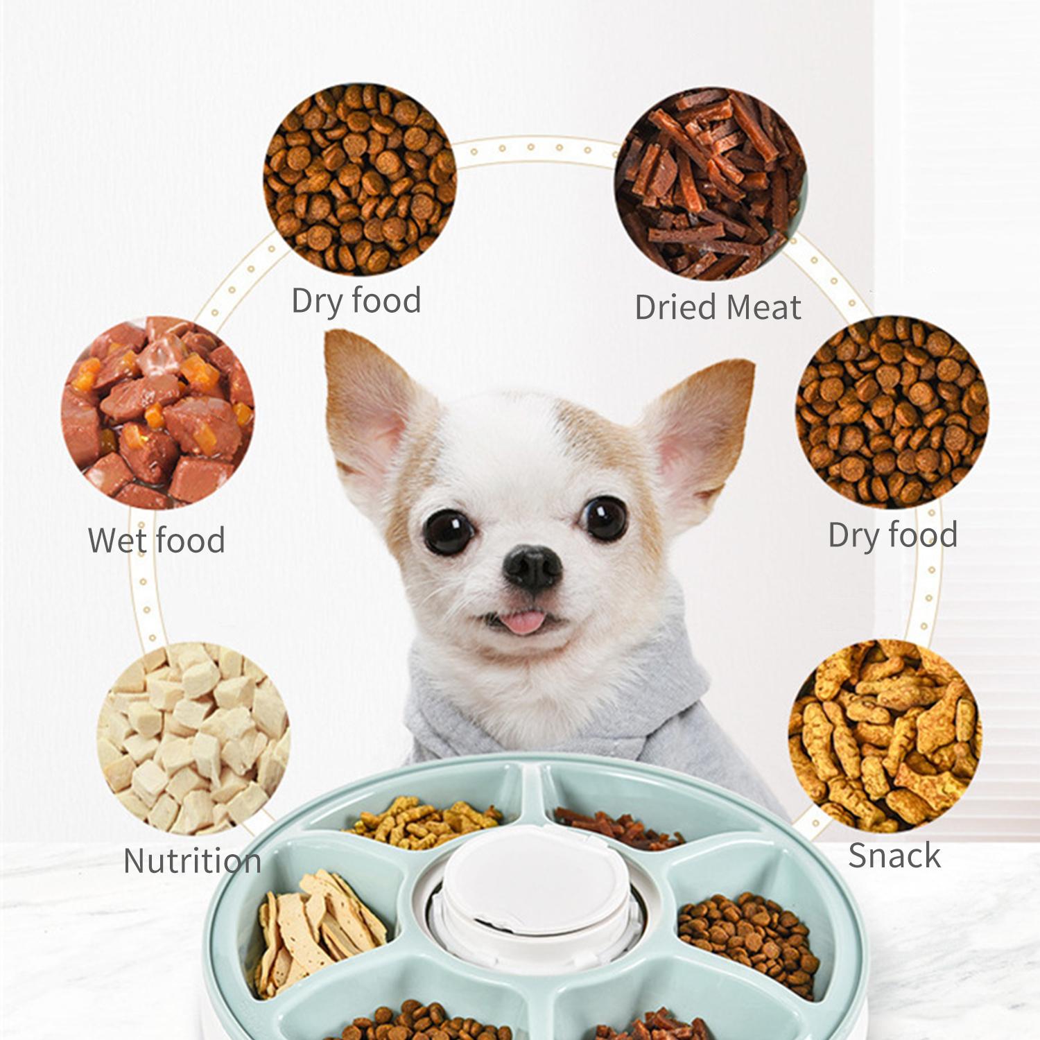 Máy ăn tự động dành cho thú cưng, có thể lập trình được 6 giờ và kiểm soát phần ăn của thú cưng
