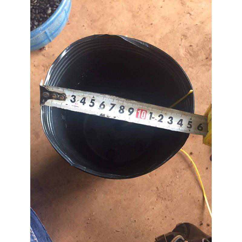 10 CHẬU NHỰA ƯƠM CÂY DẺO C7