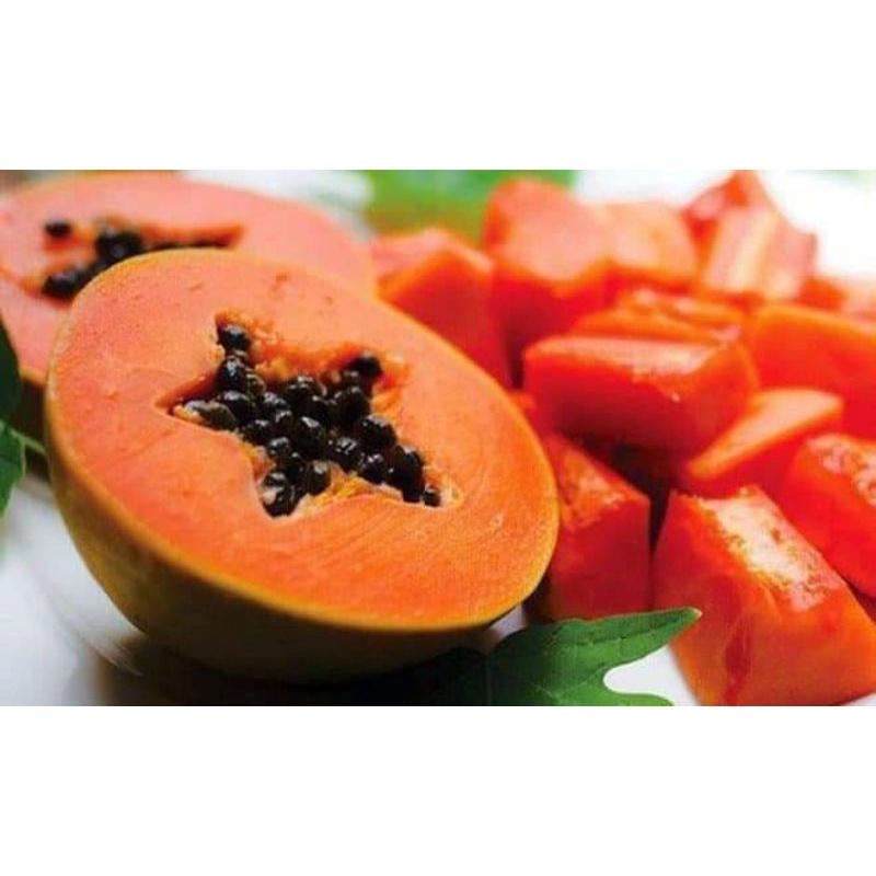 20 Hạt giống đu đủ lùn F1 Trang Nông