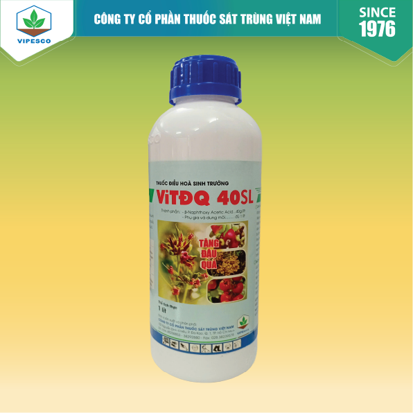 VI-TĐQ 40 - ĐIỀU HOÀ SINH TRƯỞNG