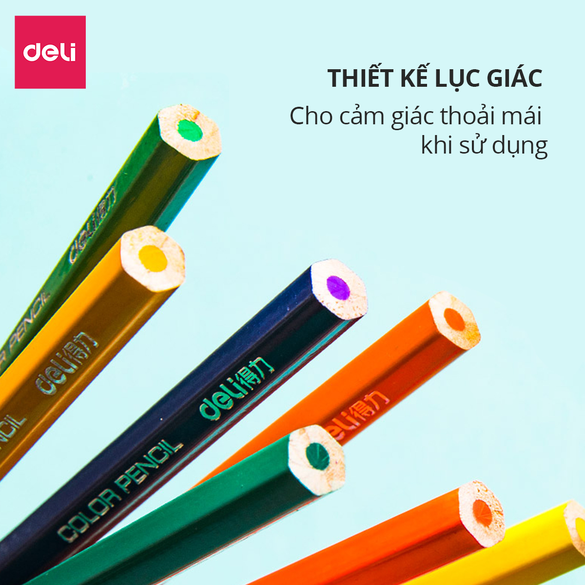 Bút chì màu nước cao cấp dạng cốc Deli - 12 / 24 / 36 / 48 màu - Kèm cọ và gọt theo ống màu - Phù hợp cho cả chuyên nghiệp và nghiệp dư - 68129/ 68130/ 68131/ 68132