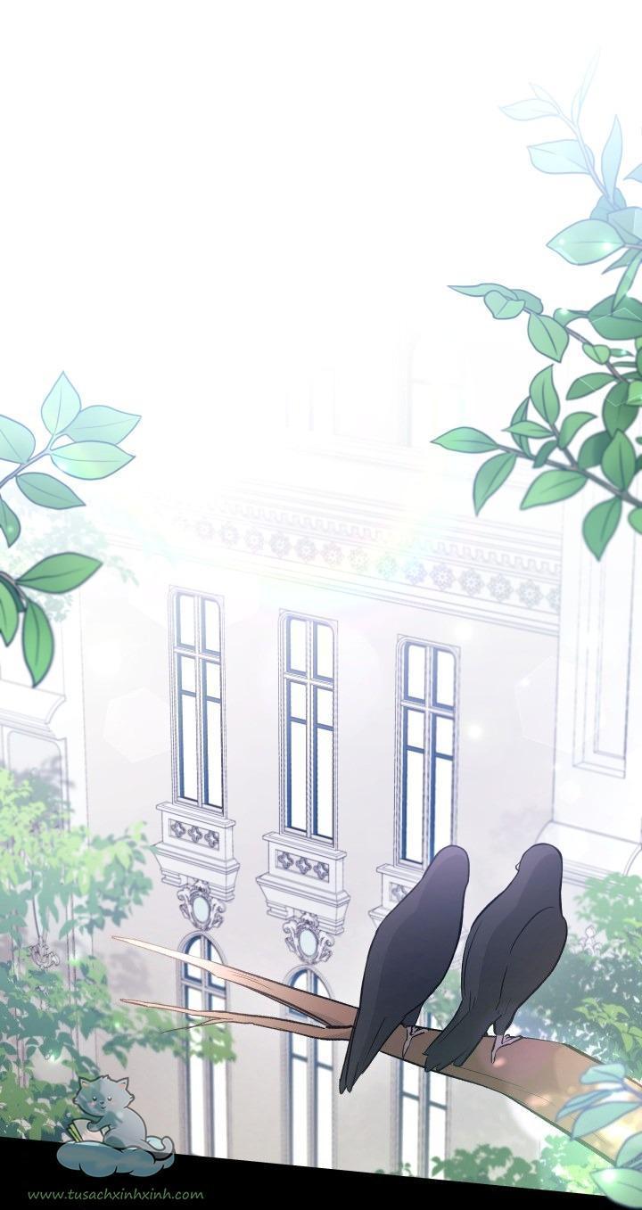 quan hệ cộng sinh giữa báo đen và thỏ trắng chapter 55 2