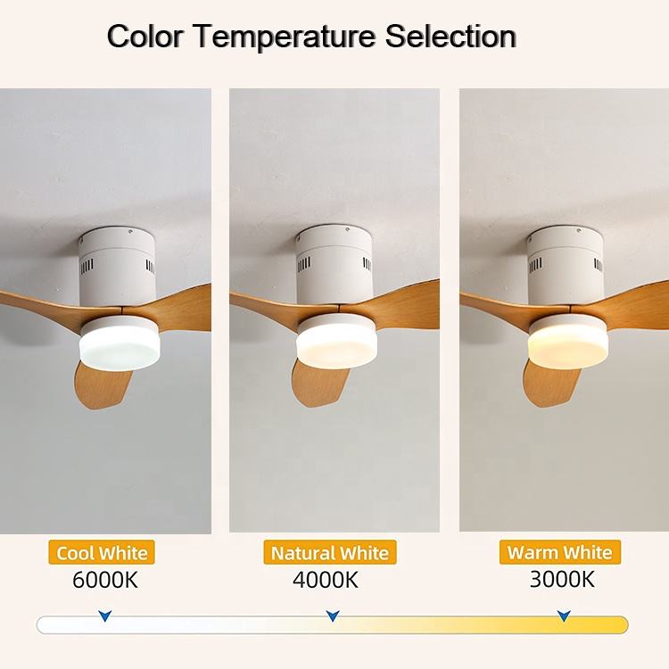 Quạt Trần Đèn - Quạt Trần Trang Trí Phòng Khách, Phòng Ăn Cao Cấp