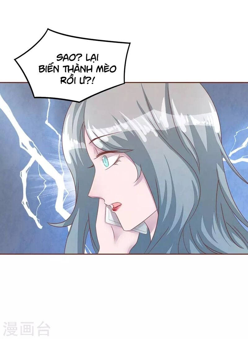 đào tạo nuôi dưỡng bạn trai mèo chapter 48 28