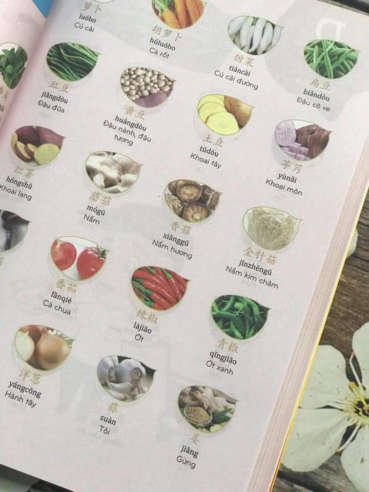 Sách- Combo 2 sách Bài tập luyện dịch tiếng Trung ứng dụng + Make your Chinese map Bản đồ tư duy từ vựng Tiếng Trung theo chủ đề + DVD tài liệu