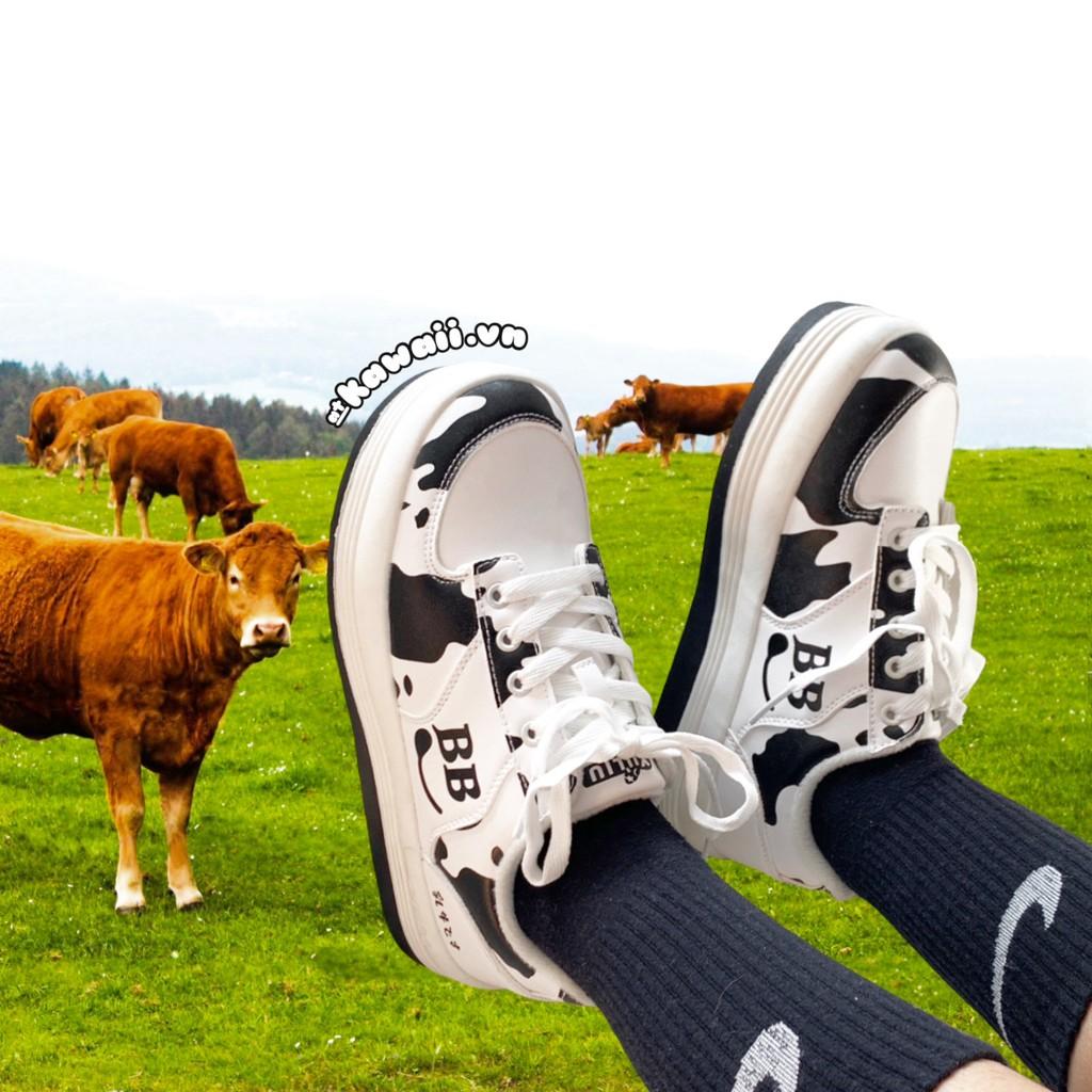 DAIRY COW SHOES - GIÀY BÒ SỮA nguyên chất từ trang trại Nhật Bản