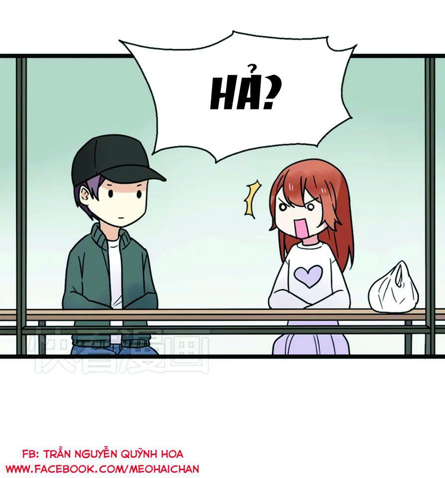 tình yêu! bắt đầu từ ngày hôm nay chapter 15 35