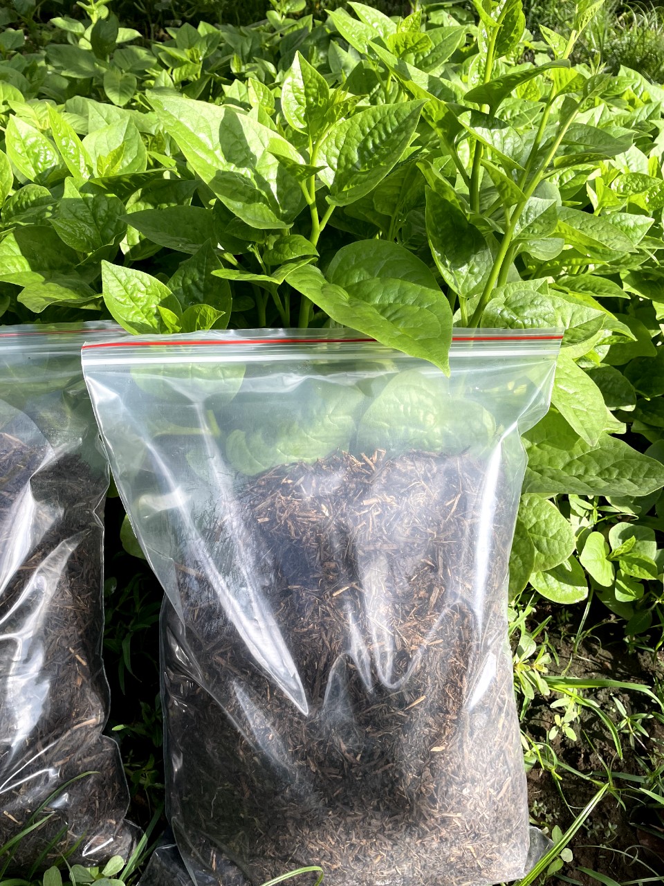Phân rơm hoai mục - Gói 5dm3 phân rơm