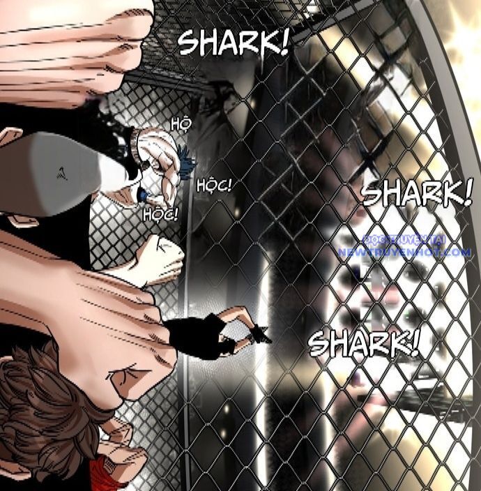 shark - cá mập chapter 341 20