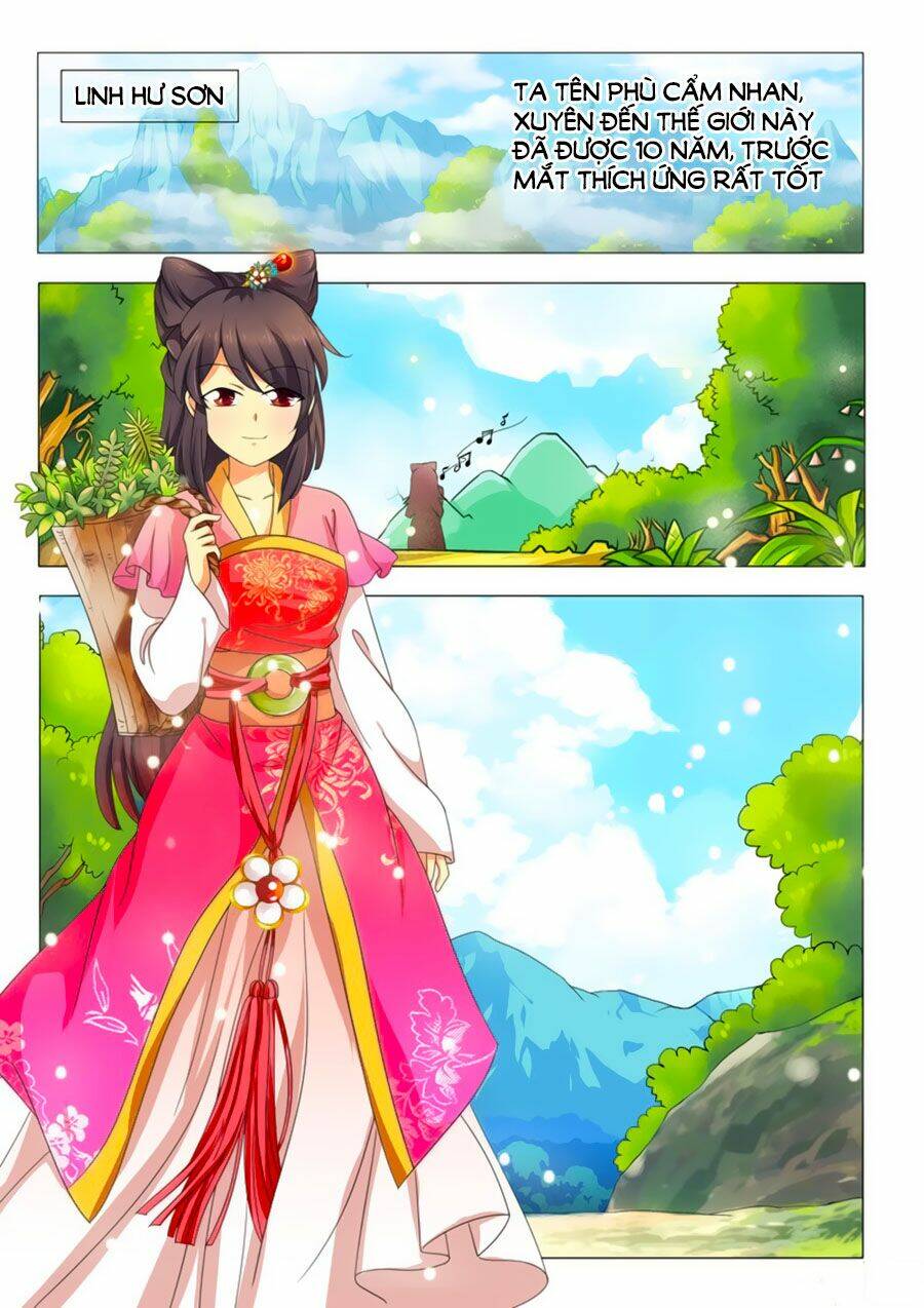 đống phù đã khai quang chapter 1 5