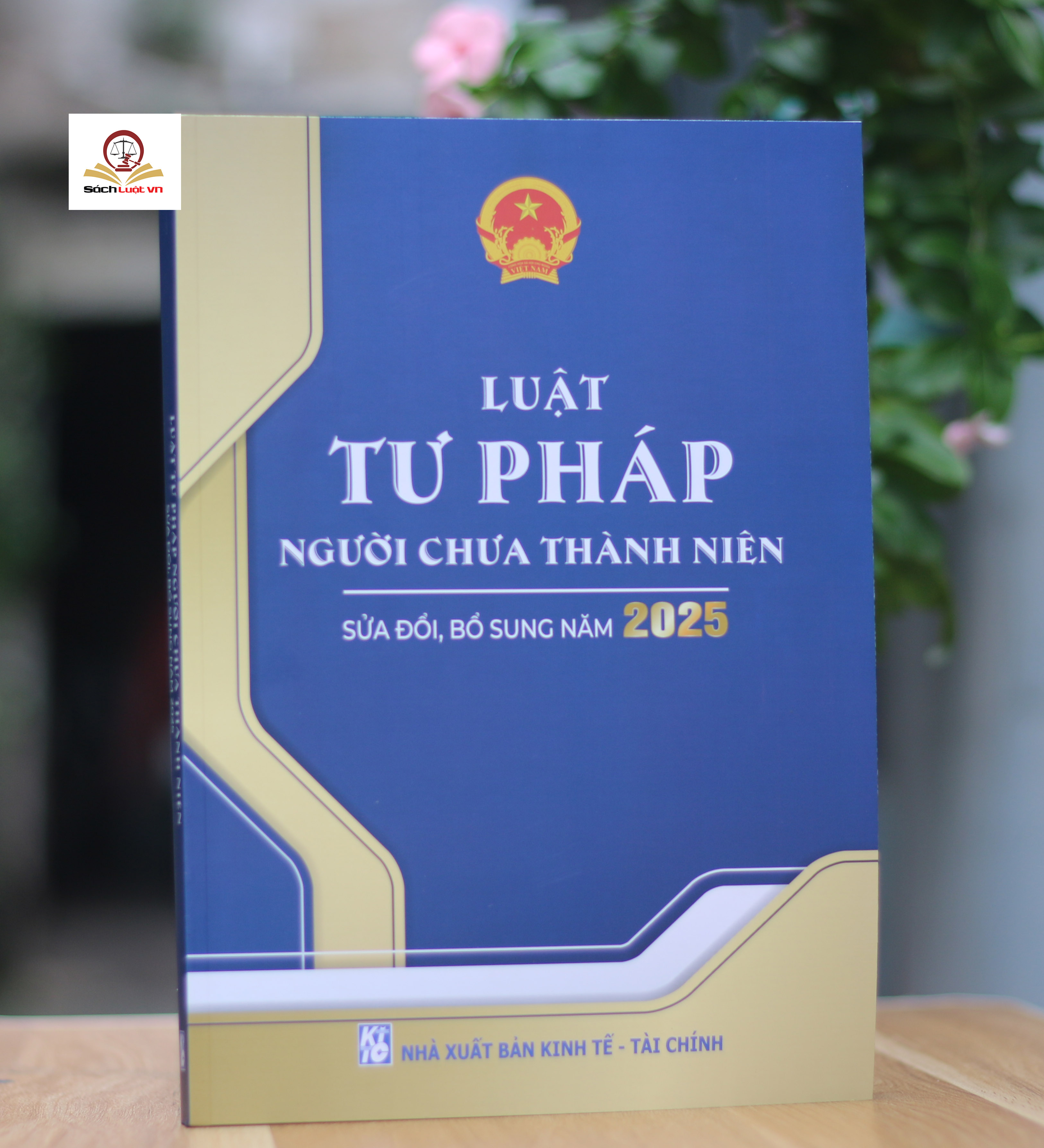 Luật Tư pháp người chưa thành niên (Sửa đổi, bổ sung năm 2025)