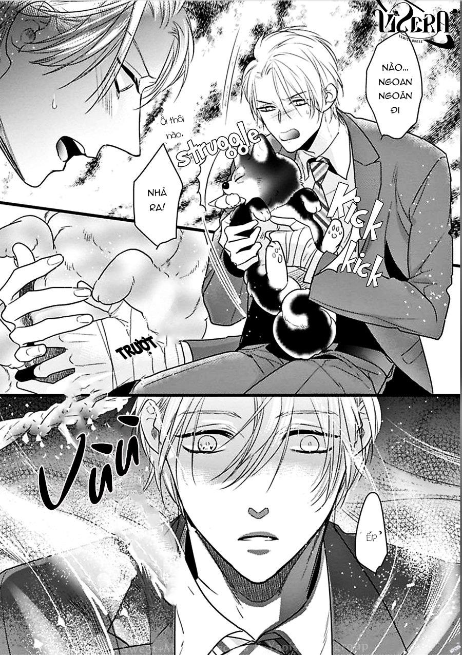 trăng sáng xuất hiện nơi khu rừng huyền bí chapter 1 8