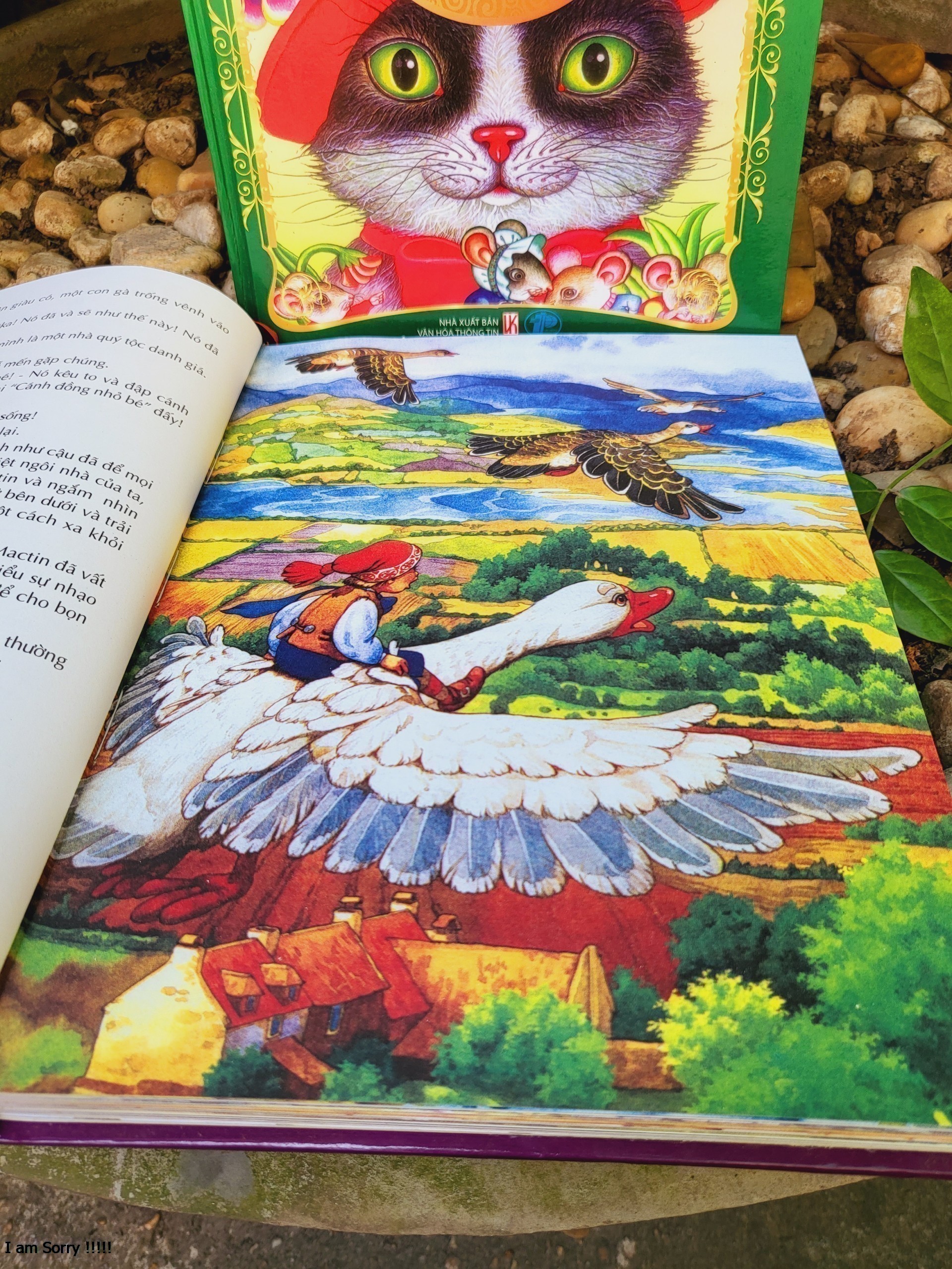 Cuộc Phiêu Lưu Kỳ Thú Của Cậu Bé Nin Và Đàn Ngỗng Trời