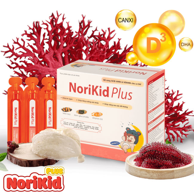 NORIKID PLUS – GIẢI PHÁP HỖ TRỢ CẢI THIỆN BIẾNG ĂN, TÁO BÓN, TĂNG SỨC ĐỀ KHÁNG Ở TRẺ 06 THÁNG -12 TUỔI (HỘP 20 ỐNG)