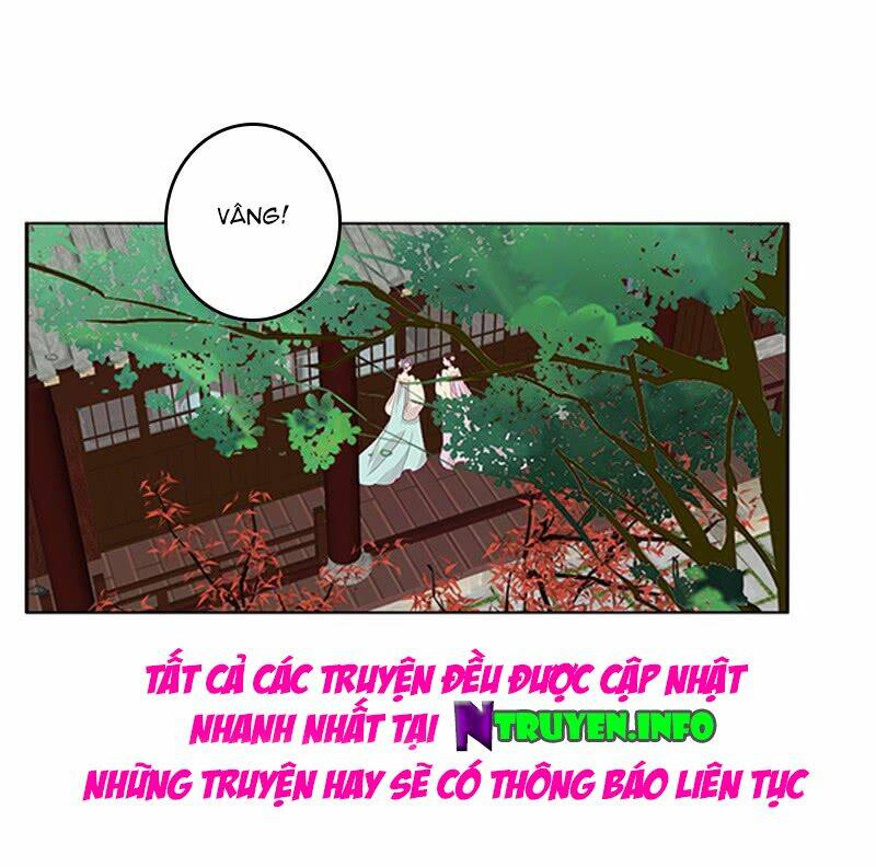 tướng quân mời ra trận chapter 111 16