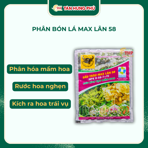 Phân bón lá Chuyên tạo mầm MAX LÂN 58 Gói 30g