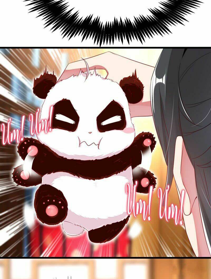 thiên thần gấu trúc muốn được ôm chapter 10 17