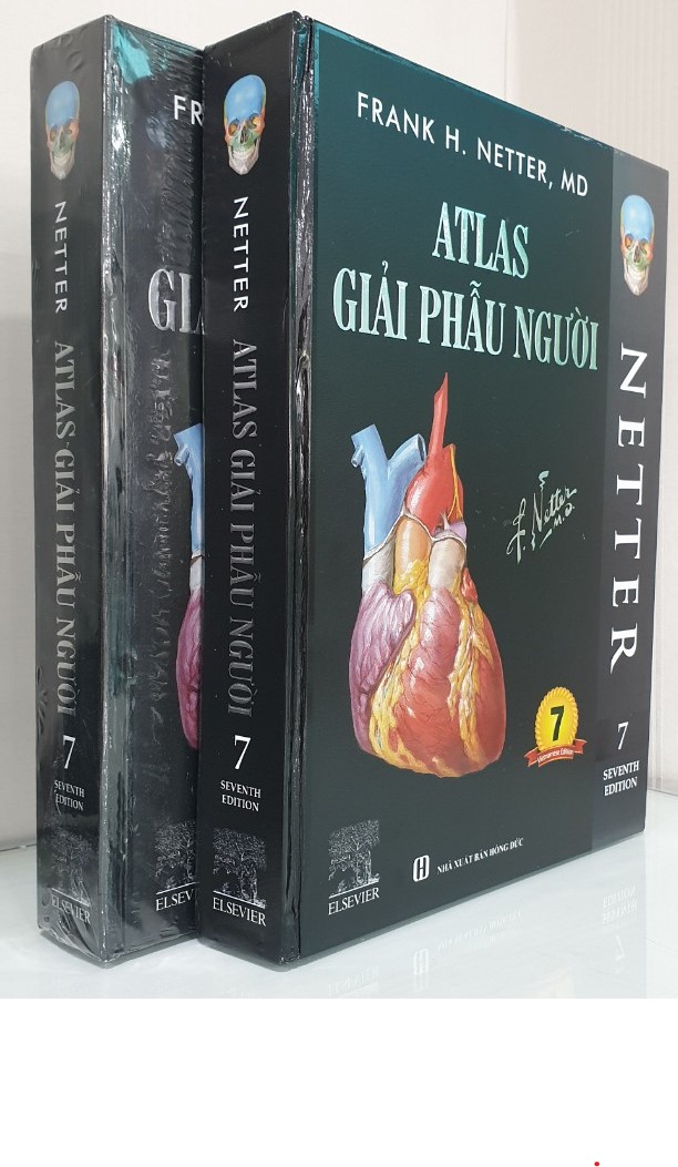 ATLAS GIẢI PHẪU NGƯỜI - In Lần Thứ IV (năm 2022) Theo Ấn Phẩm Lần Thứ VII Của Nxb Elsevier Có Sửa Chữa Và Bổ Sung (ATLAS OF HUMAN ANATOMY  Seventh Edition)