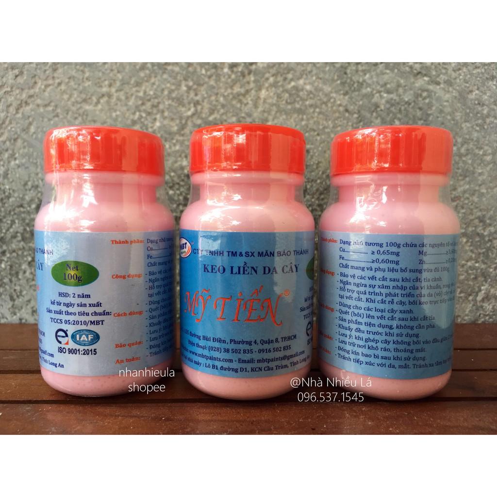 Keo liền da cây Mỹ Tiến