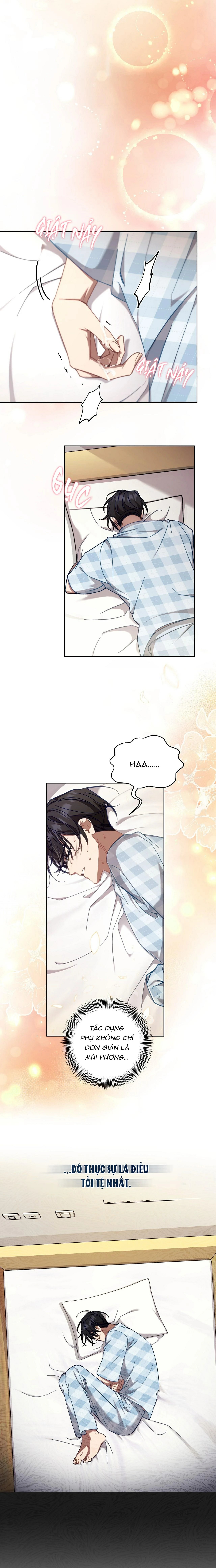 guide cấp s phết mật ong chapter 8 8