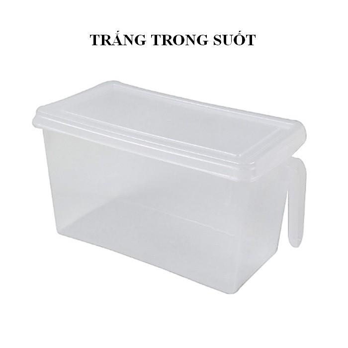 Hộp Đựng Thực Phẩm Tủ Lạnh , Hộp Bảo Quản Thực Phẩm, Dễ Dàng Bảo Quản Rau Củ