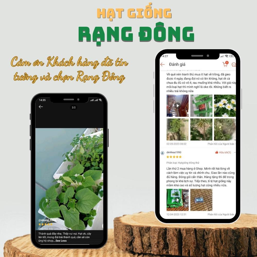 Hạt giống Xà Lách các loại, nảy mầm tốt, dễ trồng, nhanh thu hoạch, cây khỏe - Hạt giống Rạng Đông