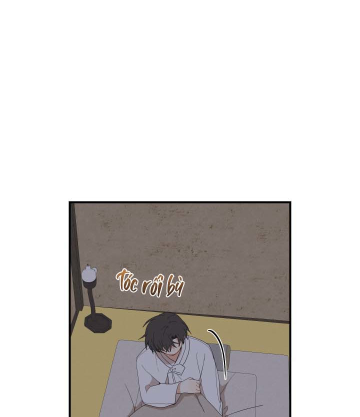 đường hoa liên kiều rơi chapter 26 11