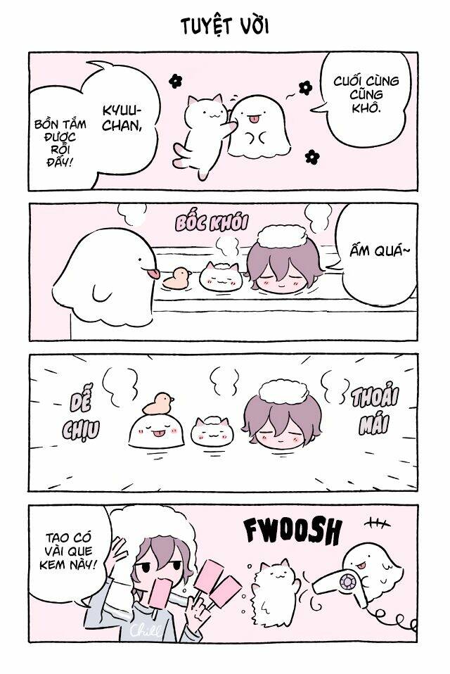 chú mèo kỳ diệu kyuu-chan chapter 527 2