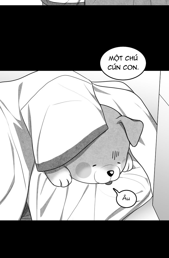 khi cún biết yêu chapter 10 47